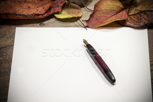 Old fashioned letter Stock photo © jarin13