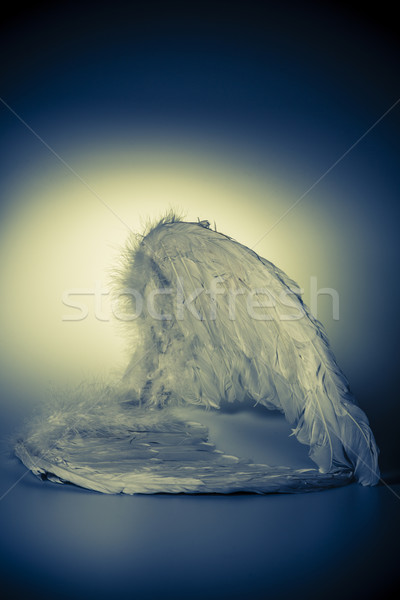 angel's wings on white background with glow Stock photo © jarin13