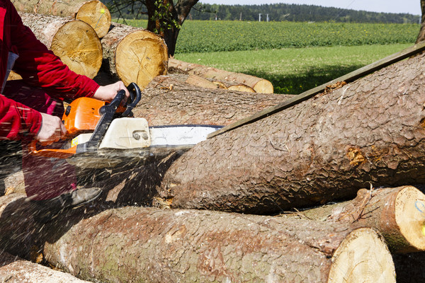 Man sawing a log in his back yard Stock photo © jarin13