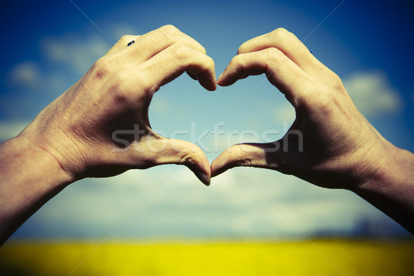 Szeretet forma kezek szív citromsárga mező Stock fotó © jarin13