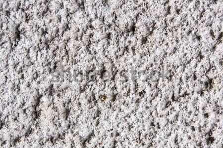 White mortar wall texture Stock photo © jarin13