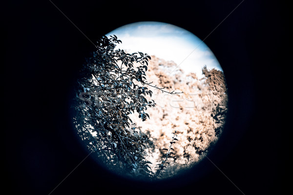 Kert óra szomszédok alma Stock fotó © jarin13