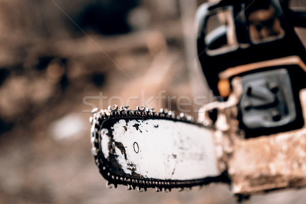 Man sawing a log in his back yard Stock photo © jarin13