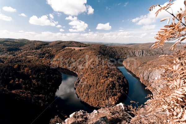 Meander of Vltava river Stock photo © jarin13