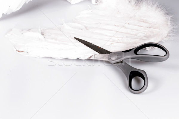 Scissors cutting angel's wing Stock photo © jarin13