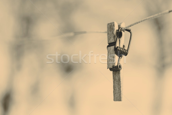 Stok fotoğraf: Kırık · clothespin · tel · odak · ön · plan · bahar