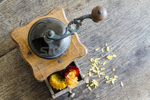 Vintage wooden coffee mill grinder with yellow flowers in open drawer Stock photo © jarin13