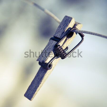 Podziale clothespin drutu skupić pierwszy plan wiosną Zdjęcia stock © jarin13