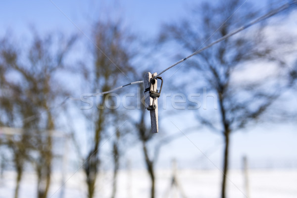 Podziale clothespin drutu skupić pierwszy plan wiosną Zdjęcia stock © jarin13
