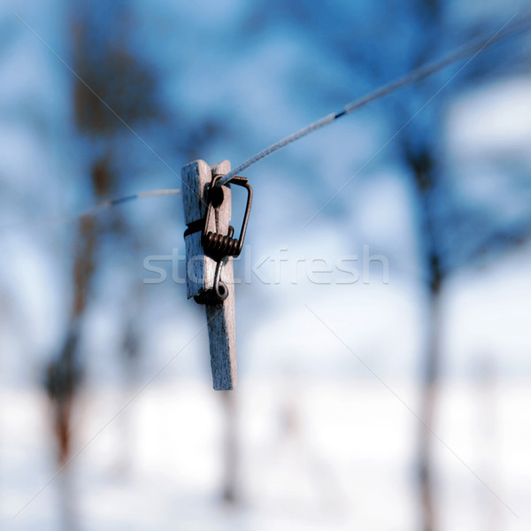 Törött ruhacsipesz drót fókusz előtér tavasz Stock fotó © jarin13