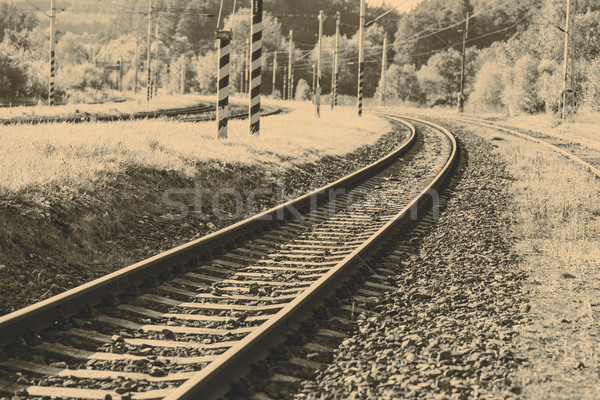 Starych kolej żelazna piękna zapomniany stali trawy Zdjęcia stock © jarin13