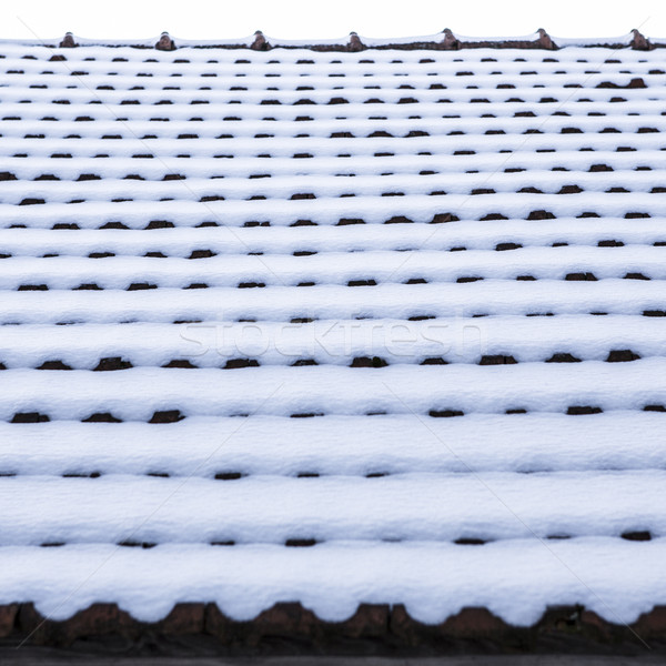 Foto stock: Nieve · techo · cuadros · edificio · construcción · casa