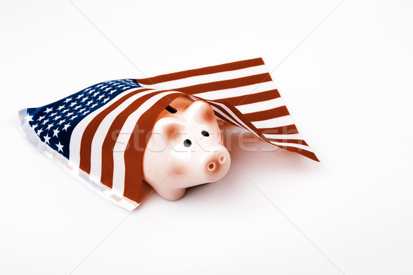 pig money box and USA flag Stock photo © jarin13