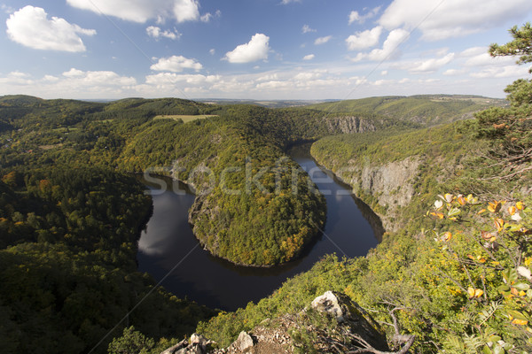 Folyó gyönyörű Csehország égbolt víz erdő Stock fotó © jarin13