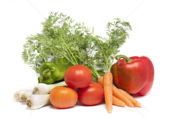 verdure ecology Stock photo © jarp17