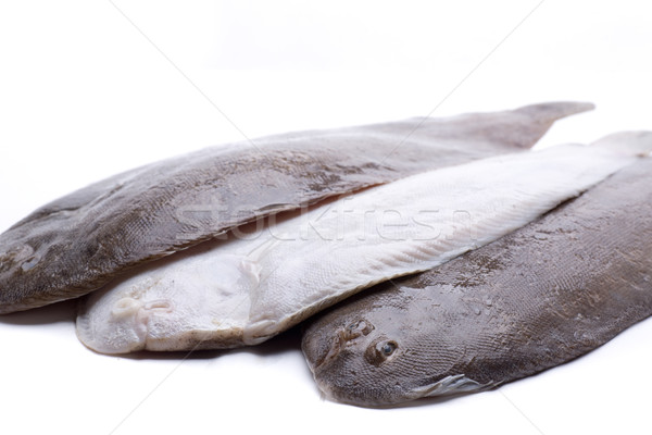 增加至灯箱  下载广告图样 商业照片 #3389996three flat fish 由