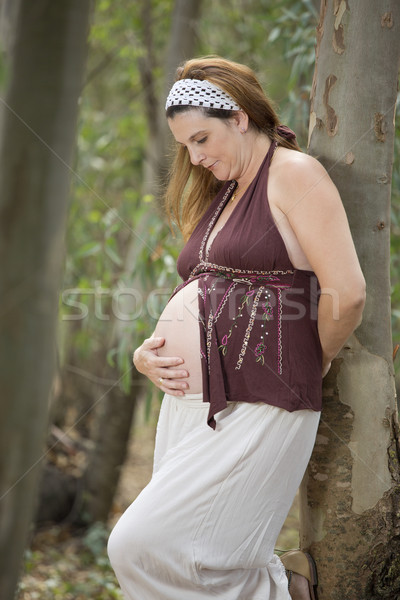 [[stock_photo]]: Arbres · maternité · femme · enceinte · belle · forêt · automne