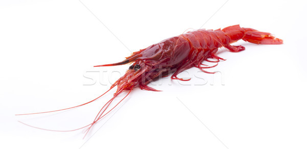 Vermelho camarão fresco refeição prato Foto stock © jarp17