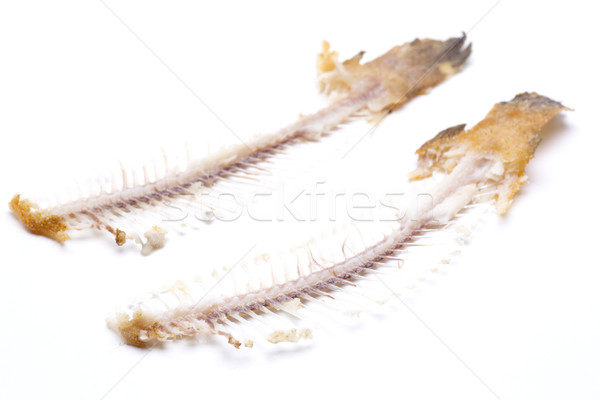 Stock photo: fishbone fish