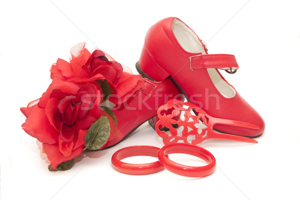 Blume mehrere Kleid Flamenco Mode rot Stock foto © jarp17