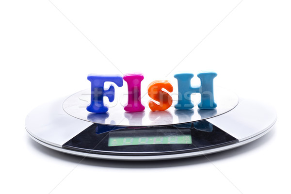 fish weight Stock photo © jarp17