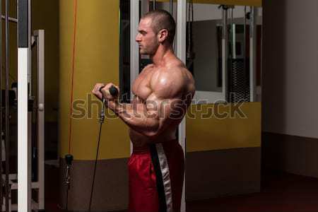Bodybuilder Exercising Biceps With Barbell Stock photo © Jasminko