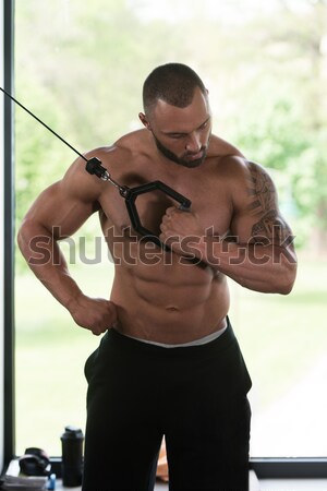 Zurück Mann Männer Porträt Muskel Stock foto © Jasminko