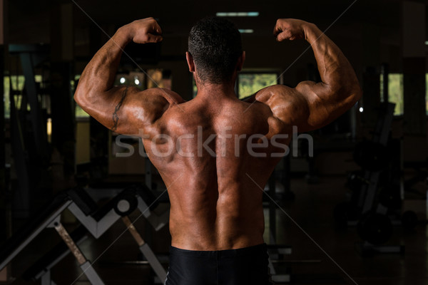 Izmos testépítő mutat hát dupla bicepsz Stock fotó © Jasminko
