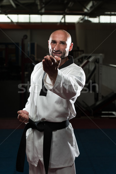 Reifer Mann Karate reifen Männer Sport Stock foto © Jasminko