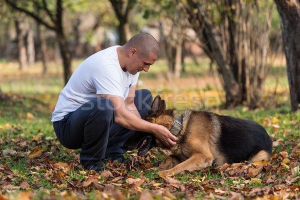 Homem cão pastor floresta masculino estilo de vida Foto stock © Jasminko