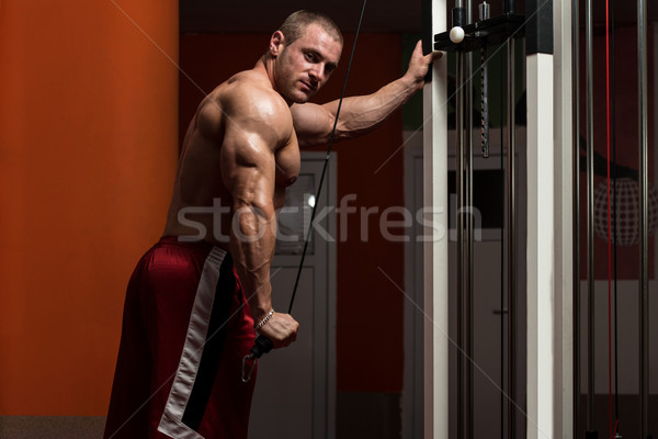 Zdrowych młody człowiek wykonywania triceps młodych kulturysta Zdjęcia stock © Jasminko