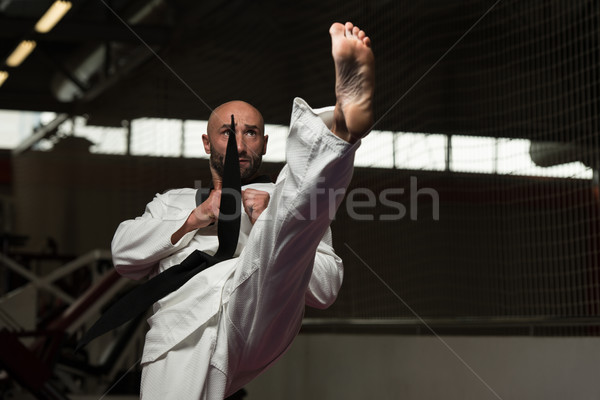 Taekwondo Kämpfer Experte Kampf Haltung reifer Mann Stock foto © Jasminko