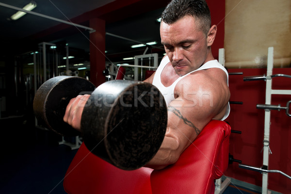 Powerful Muscular Man Lifting Weights Stock photo © Jasminko