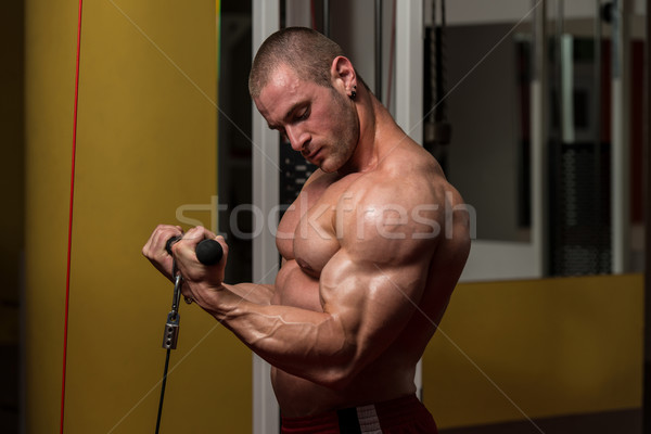 Bicepsz testmozgás fiatal testépítő nehéz súly Stock fotó © Jasminko