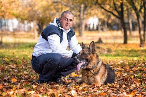 Man Playing With Dog German Shepherd In Park Stock photo © Jasminko