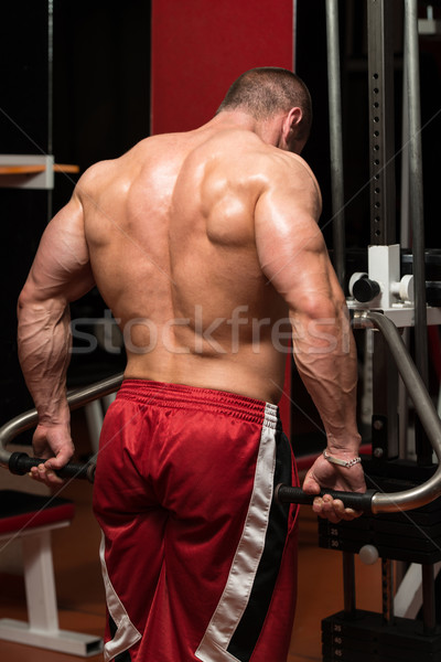 Young Male Doing Trapezius Exercises In The Gym Stock photo © Jasminko