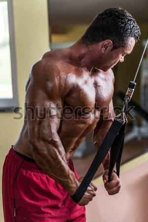 bodybuilder doing squat with barbell Stock photo © Jasminko