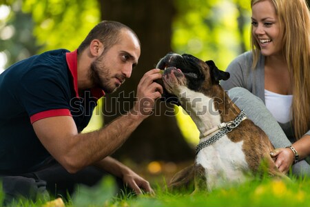 Bella giovani famiglia cani cane Coppia Foto d'archivio © Jasminko