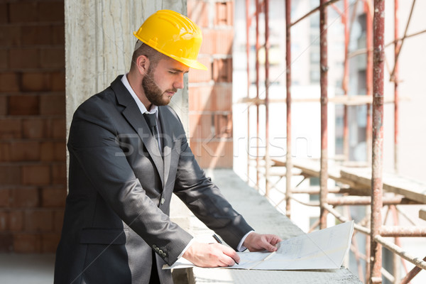 Portrait heureux jeunes construction maître [[stock_photo]] © Jasminko