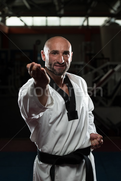 Taekwondo vadászrepülő szakértő verekedés hozzáállás érett férfi Stock fotó © Jasminko