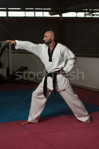 Taekwondo vadászrepülő póz érett férfi gyakorol karate Stock fotó © Jasminko