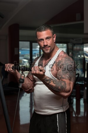 Muskularny kulturysta strona piersi triceps Zdjęcia stock © Jasminko