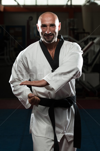 Taekwondo lutteur posent homme mûr karaté Photo stock © Jasminko