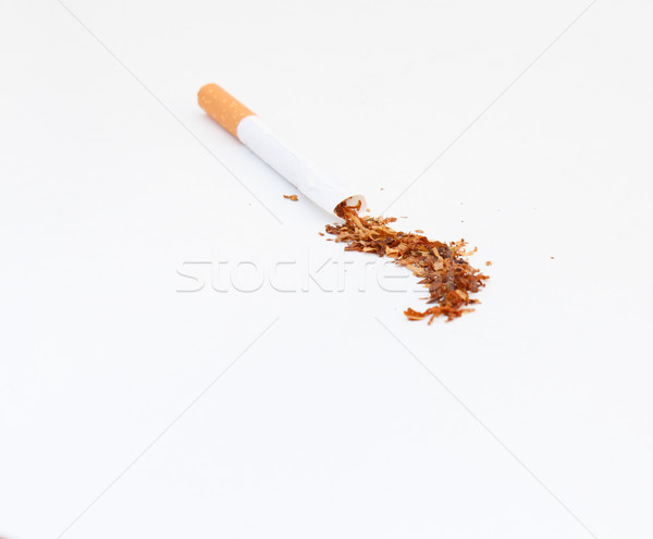 Inside a Cigarette Stock photo © javiercorrea15