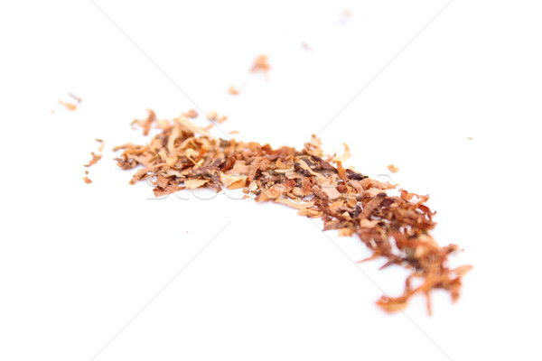 табак изолированный белый лист курение Сток-фото © javiercorrea15