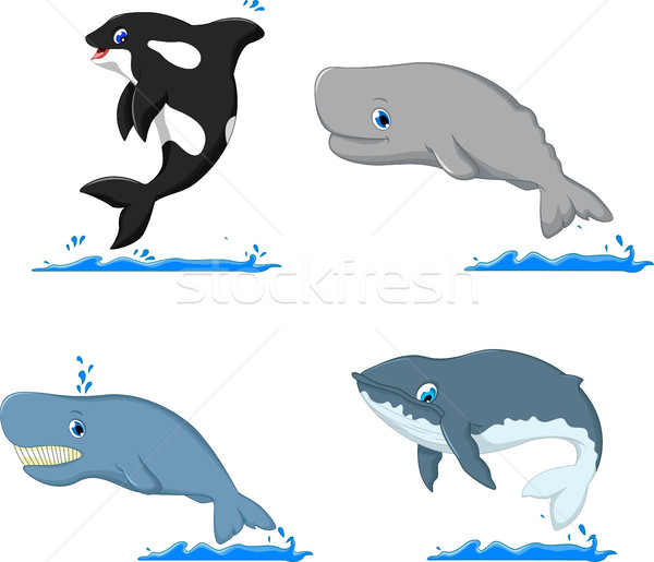 Stock photo: whale cartoon collection for you design