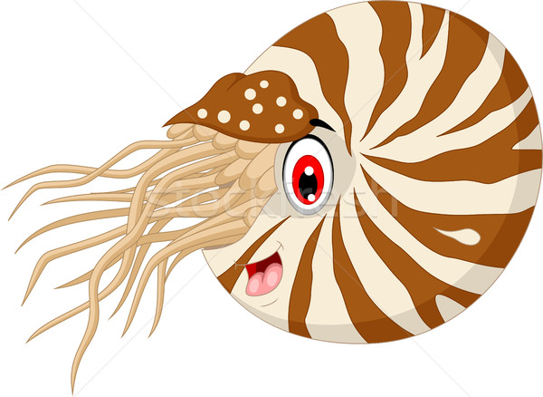 Nautilus Cartoon for you design Stock photo © jawa123