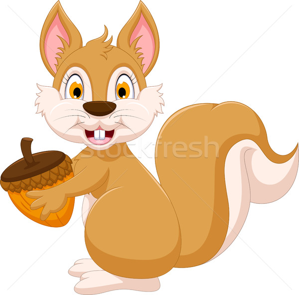 cute squirrel cartoon holding hazelnut Stock photo © jawa123