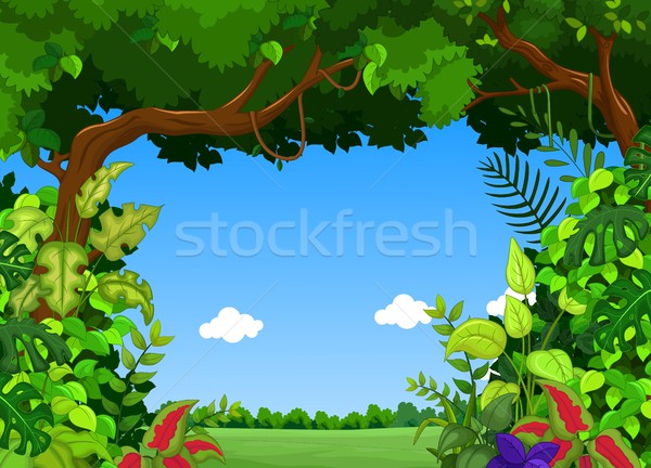 forest background Stock photo © jawa123