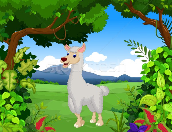 cute lama cartoon with forest landscape background Stock photo © jawa123